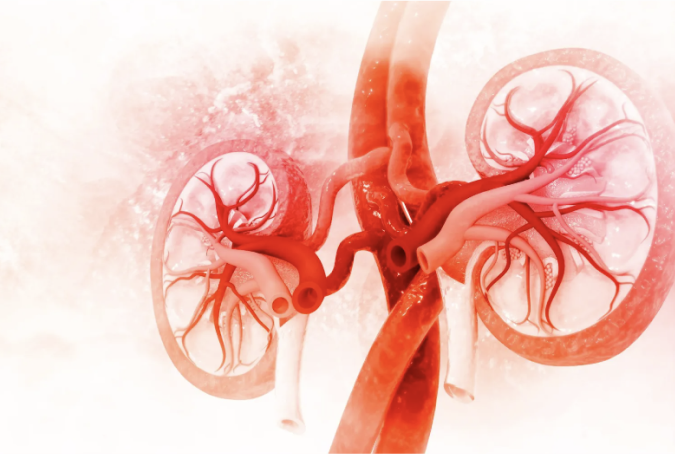 Successful Market Development Strategy